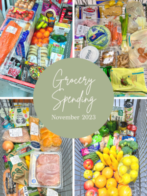 November 2023 Grocery Spending