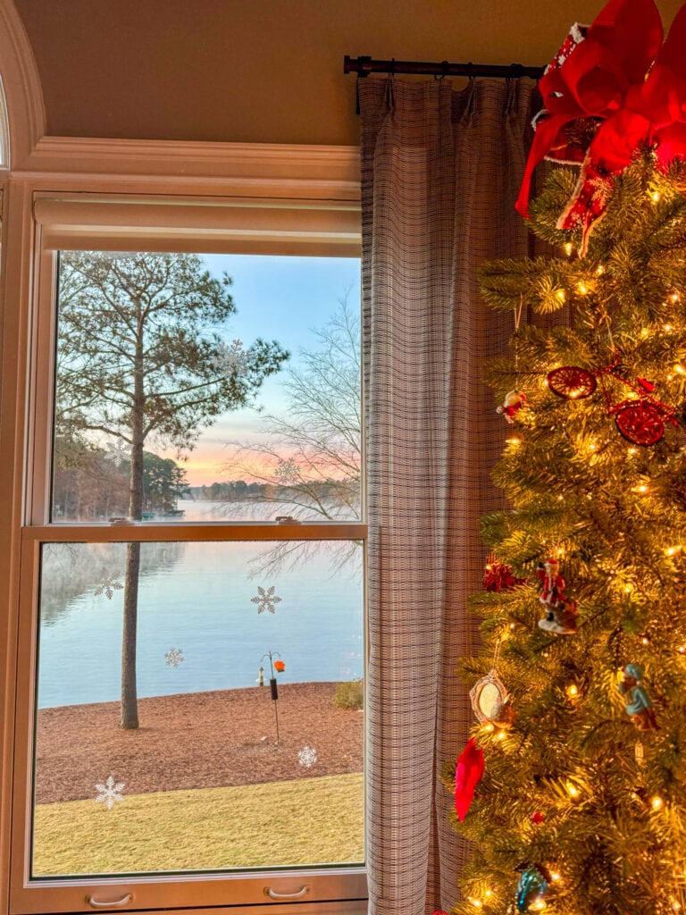 Christmas tree by the window