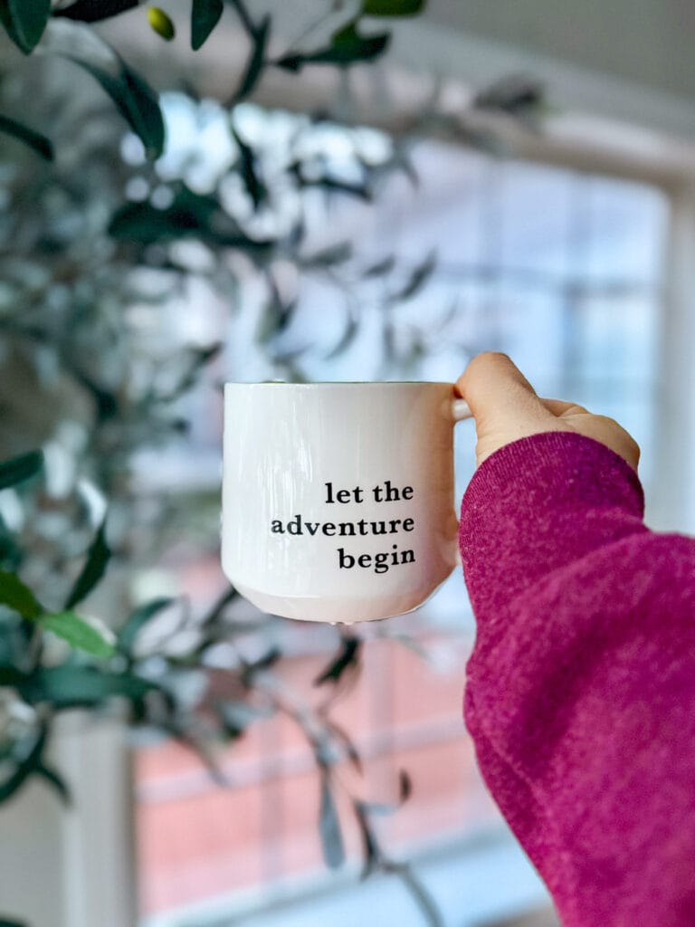 let the adventure begin mug