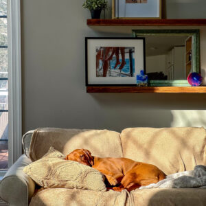 Spread Thin, Baking, & Prioritizing