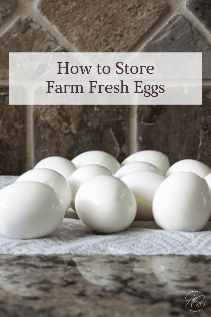 How To Store Farm Fresh Eggs