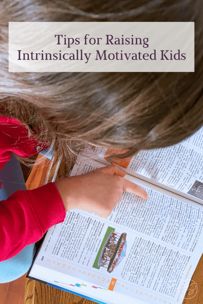 Tips for Raising Intrinsically Motivated Kids