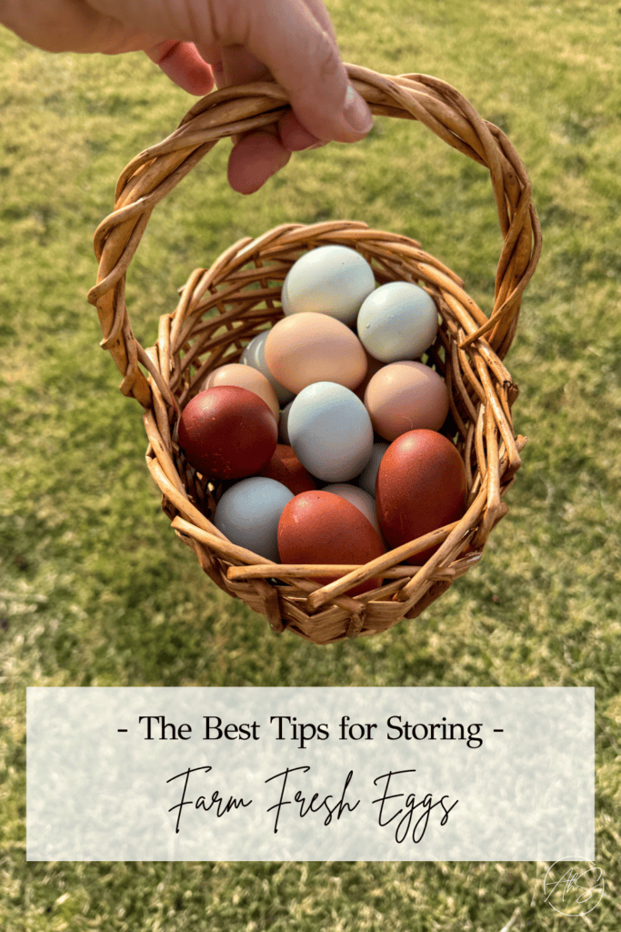 How To Store Farm Fresh Eggs