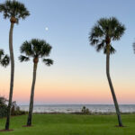 Favorite Moments from Sea Island