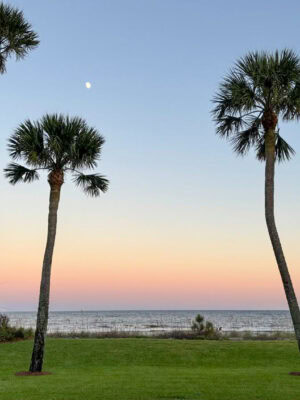 Favorite Moments from Sea Island
