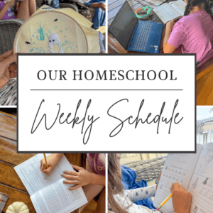 Curriculum Update: 7th Grade and 5th Grade