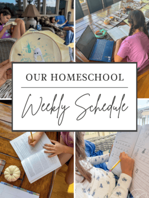 Curriculum Update: 7th Grade and 5th Grade