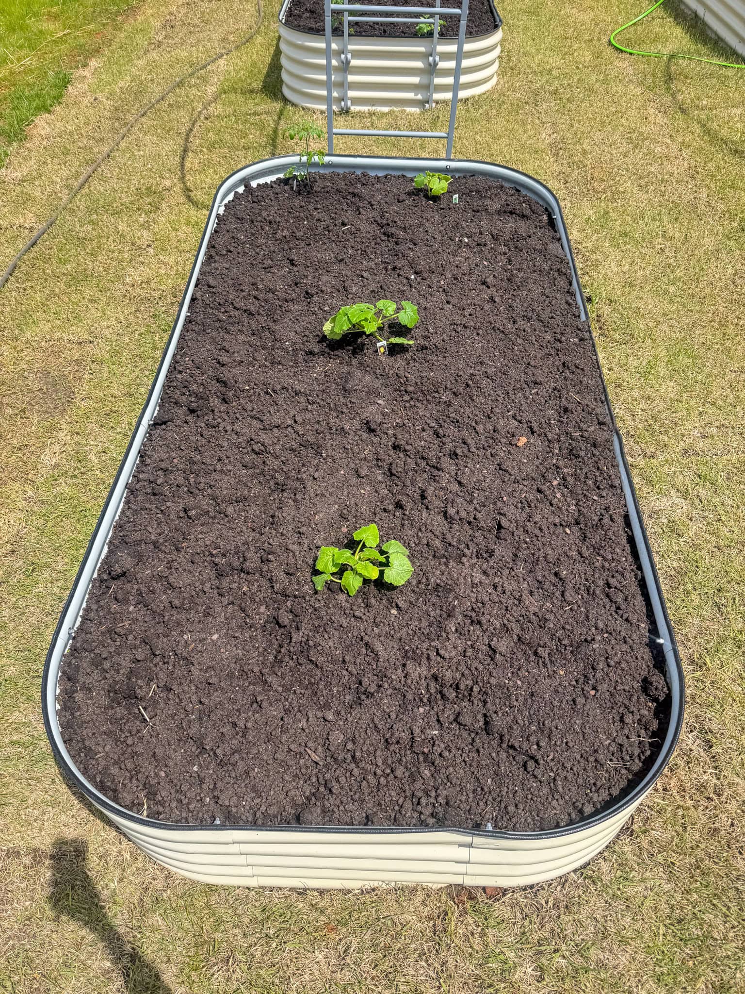 garden ideas at home