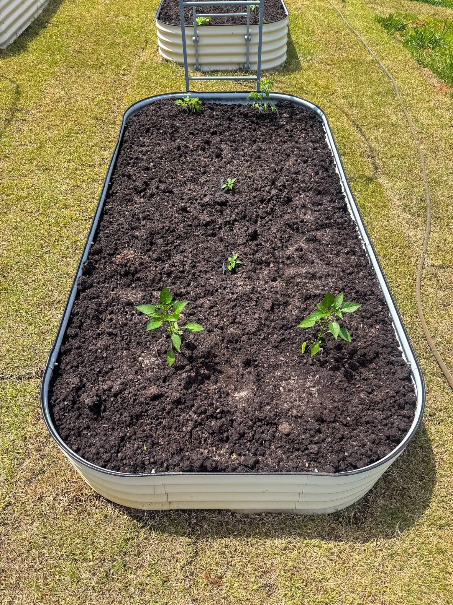 garden ideas at home