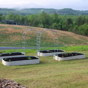 I Started a Garden: Spring 2025