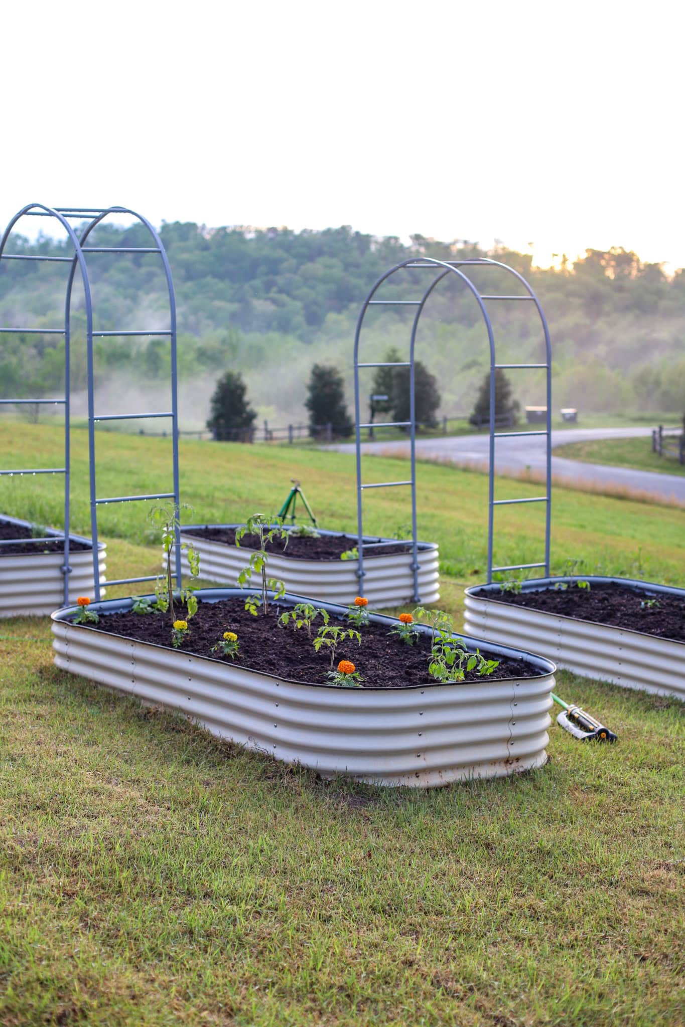 raised garden beds