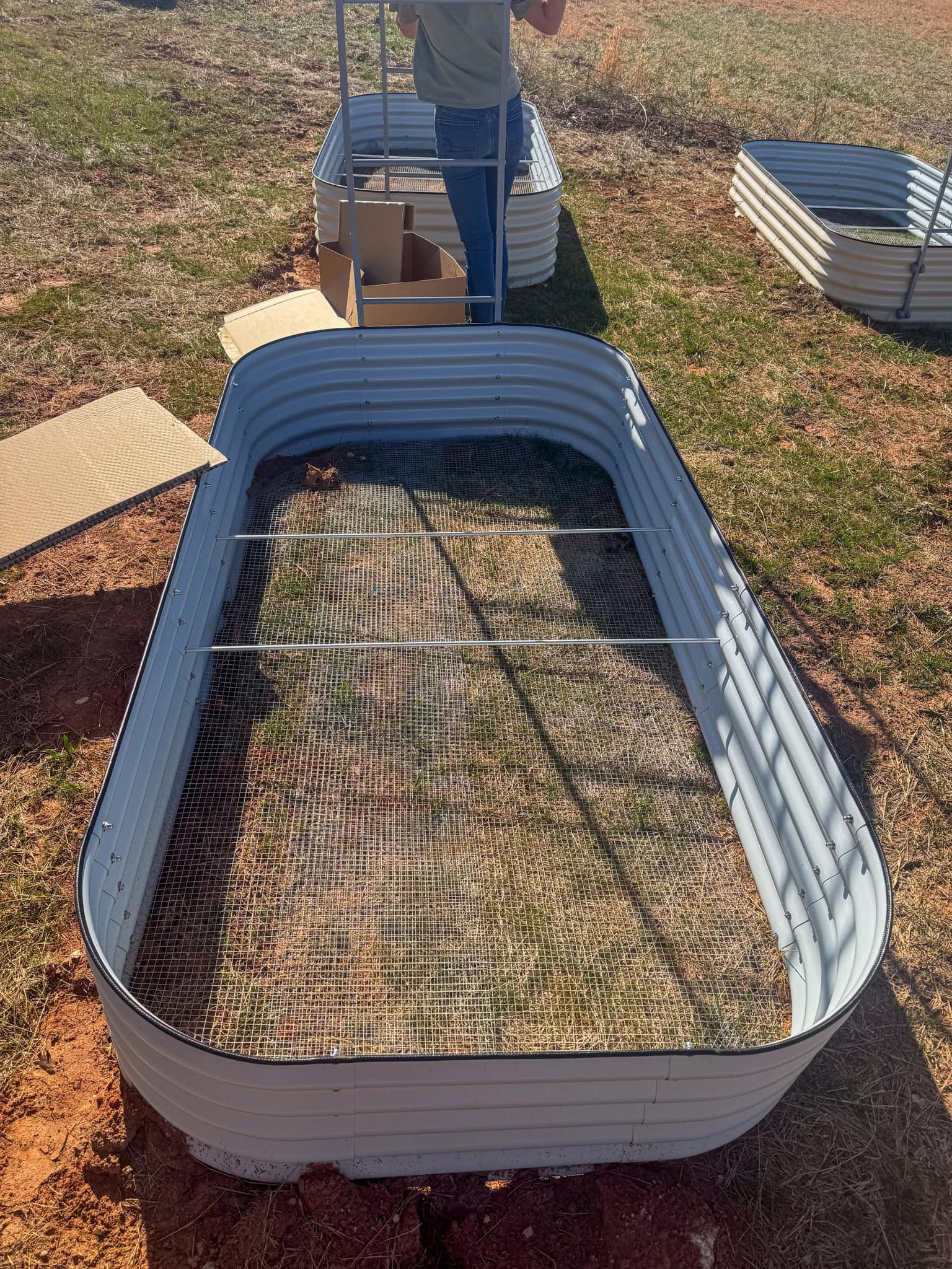 starting a garden at home