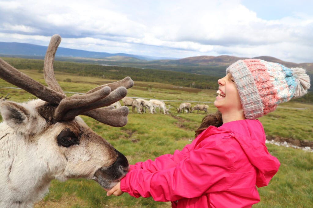 Scotland Part 3 reindeer experience