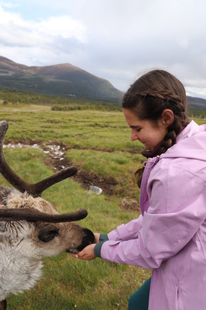 Cairngorms National Park reindeer experience