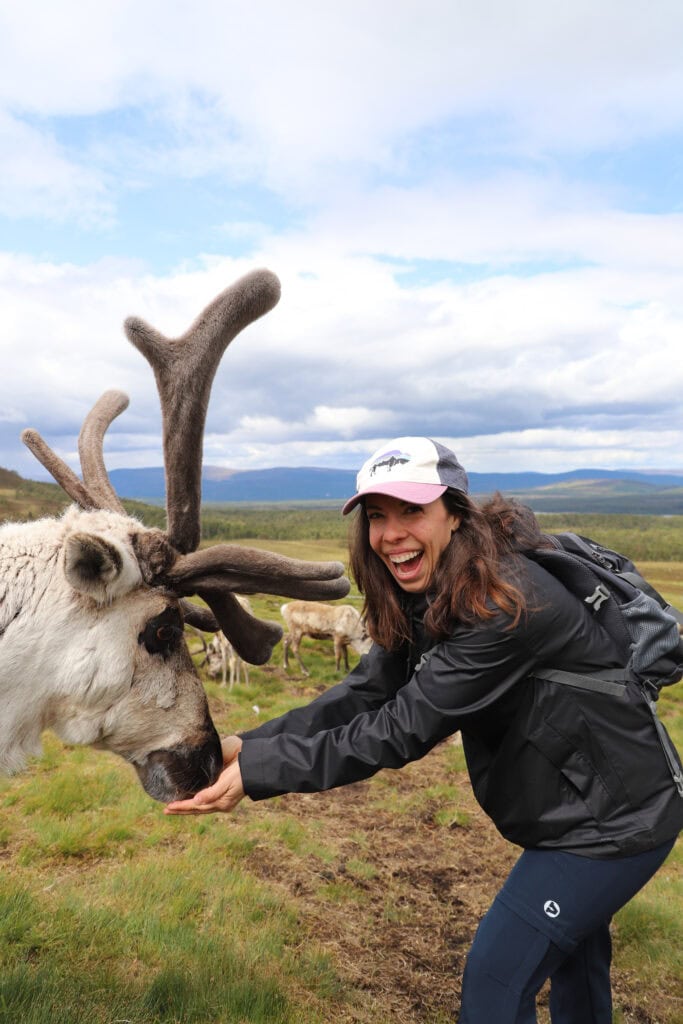 Scotland Part 3 reindeer experience