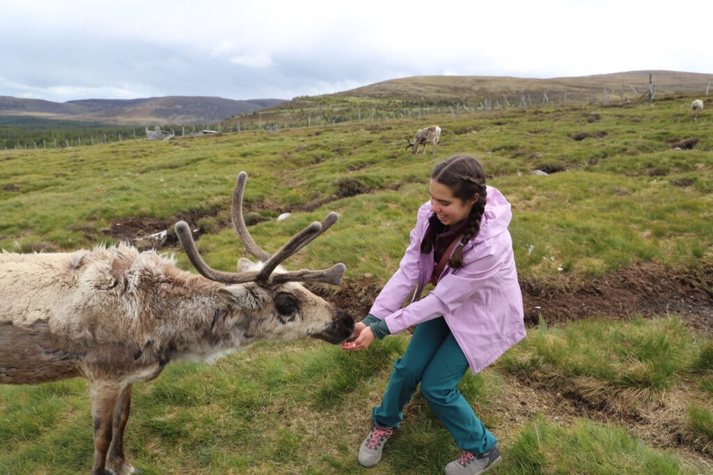Scotland Part 3 reindeer experience