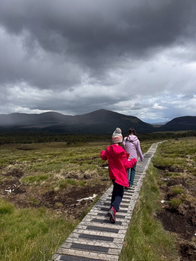 Cairngorms National Park pathway