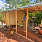 From Blueprints to Backyard: David’s DIY Chicken Coop