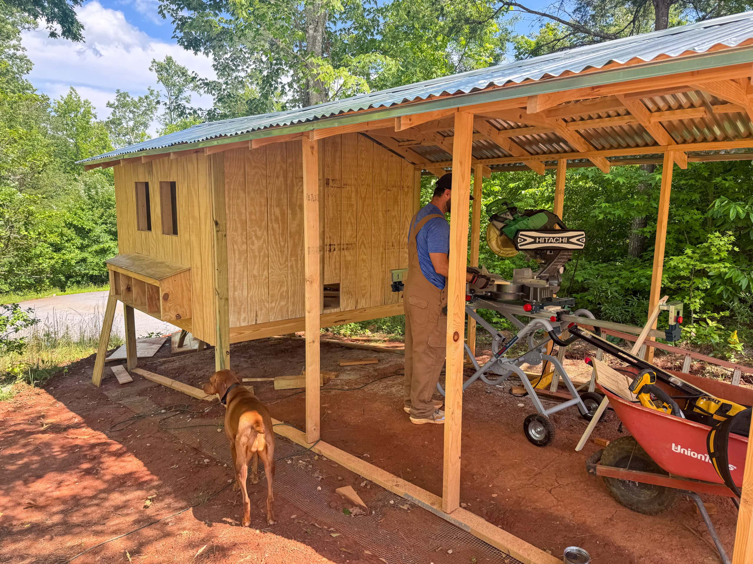 青写真から裏庭まで：David’s DIY Chicken Coop