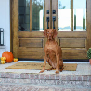 Fall Home Decor Tour 2025