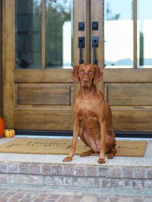 Fall Home Decor Tour 2025