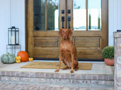 Fall Home Decor Tour 2025