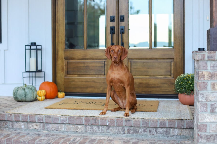 Fall Home Decor Tour 2025