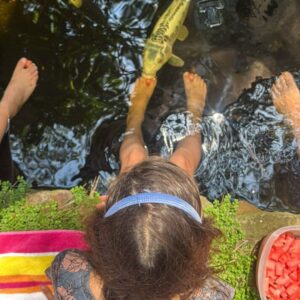 kids is feeding the fish using their feet