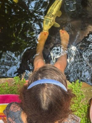 kids is feeding the fish using their feet