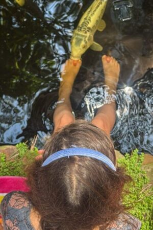 kids is feeding the fish using their feet