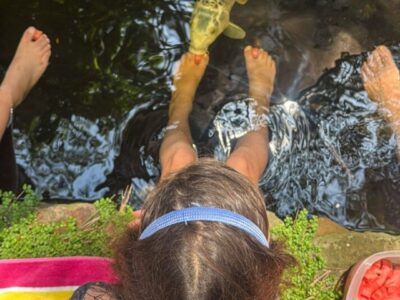 kids is feeding the fish using their feet