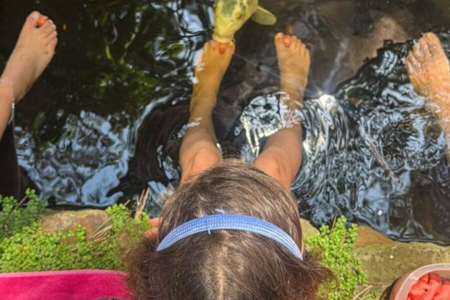 kids is feeding the fish using their feet