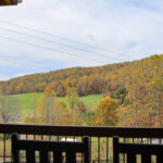 Jeter Mountain Farm Apple Picking 