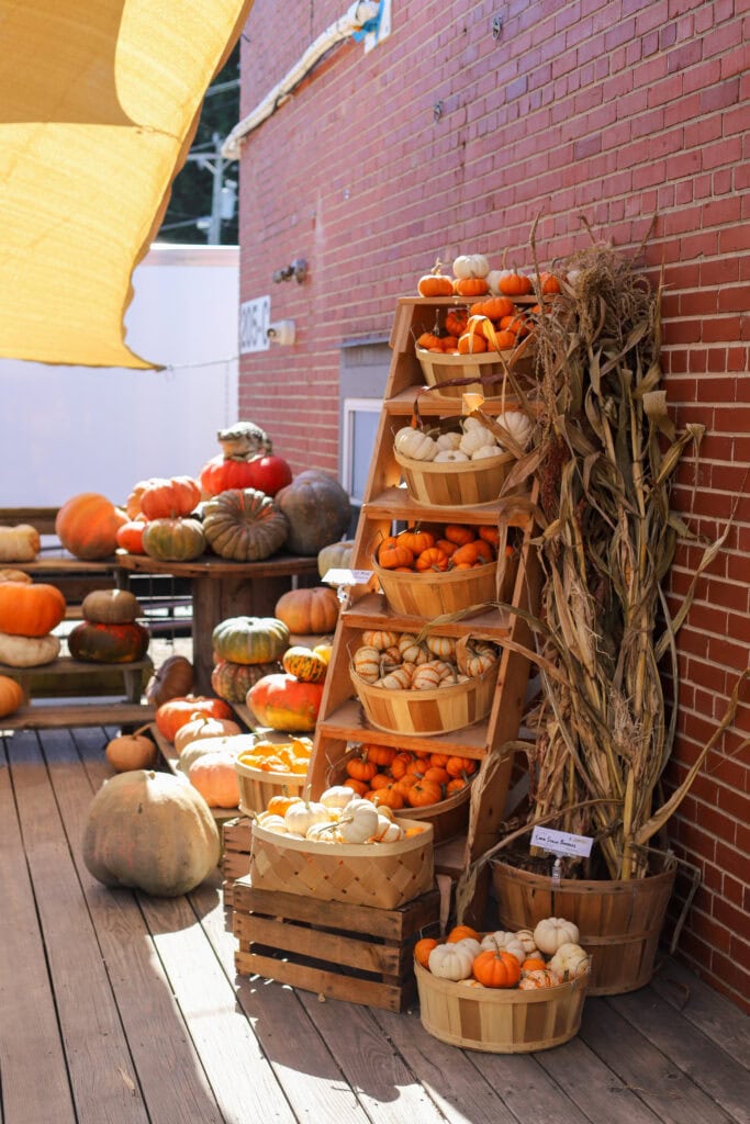 fall pumpkins decor