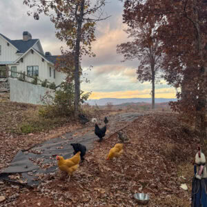 10 Life Things to Share