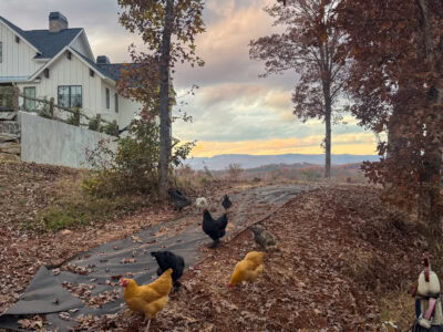 10 Life Things to Share