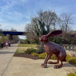 H's Allergy Supplement Line Up