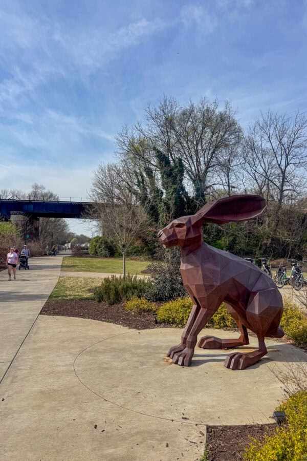 H's Allergy Supplement Line Up