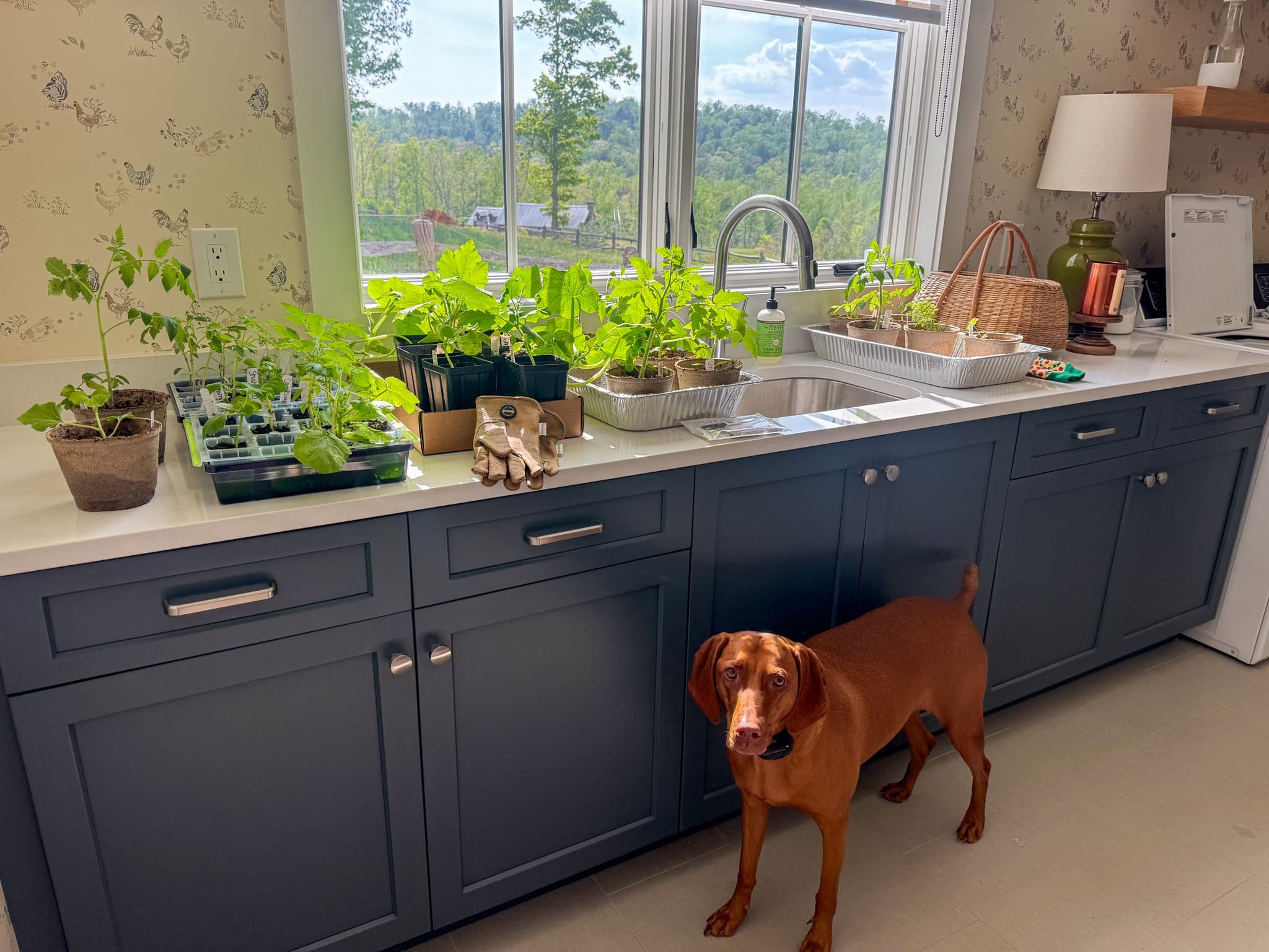 Things I'm Loving Lately